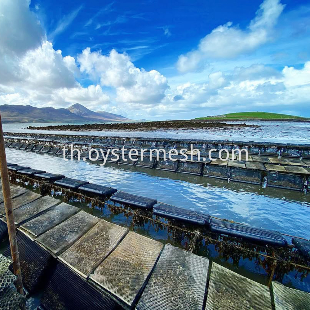 Oyster Aquaculture Floats